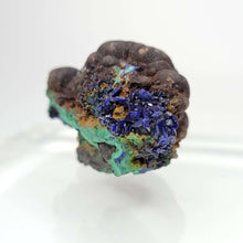 Load image into Gallery viewer, Botryoidal Malachite with Azurite. 62 grams - The Crystal Connoisseurs
