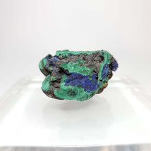 Load image into Gallery viewer, Botryoidal Malachite with Azurite. 62 grams - The Crystal Connoisseurs
