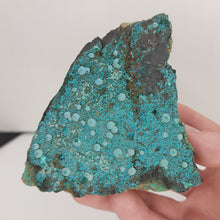 Load image into Gallery viewer, Chrysocolla on Matrix. - The Crystal Connoisseurs
