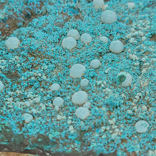 Load image into Gallery viewer, Chrysocolla on Matrix. - The Crystal Connoisseurs
