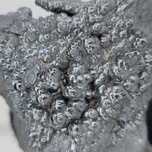 Load image into Gallery viewer, Botryoidal Hematite - The Crystal Connoisseurs
