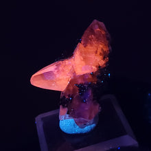 Load image into Gallery viewer, Calcite with Dendritic Native Copper from Mexico. 7.9g - UV Reactive Calcite with Dendritic Native Copper Inclusions. Locale: Zacatecas, Mexico. Weight: 7.92 grams. Dimensions: 30 x 19mm - The Crystal Connoisseurs
