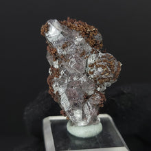 Load image into Gallery viewer, Calcite with Dendritic Native Copper from Mexico. 15g - UV Reactive Calcite with Dendritic Native Copper Inclusions. Locale: Zacatecas, Mexico. Weight: 15.77 grams. Dimensions: 35 x 24mm - The Crystal Connoisseurs
