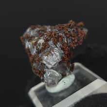 Load image into Gallery viewer, Calcite with Dendritic Native Copper from Mexico. 9g - UV Reactive Calcite with Dendritic Native Copper Inclusions. Locale: Zacatecas, Mexico. Weight: 9 grams. Dimensions: 25 x 25mm - The Crystal Connoisseurs
