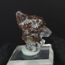 Load image into Gallery viewer, Calcite with Dendritic Native Copper from Mexico. 9g - UV Reactive Calcite with Dendritic Native Copper Inclusions. Locale: Zacatecas, Mexico. Weight: 9 grams. Dimensions: 25 x 25mm - The Crystal Connoisseurs
