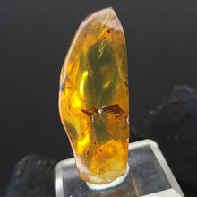 Load image into Gallery viewer, Chiapas Amber with Bug Inclusion. - Locale: Chiapas, Mexico. Weight: 5.28 grams. Dimensions: 20 x 35 x 13mm - The Crystal Connoisseurs
