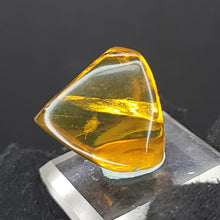 Load image into Gallery viewer, Chiapas Amber with Mosquito Inclusion. - Locale: Chiapas, Mexico. Weight: 2.19 grams. Dimensions: 18 x 19 x 11mm - The Crystal Connoisseurs
