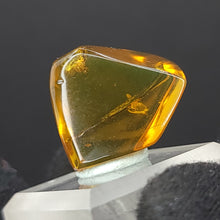 Load image into Gallery viewer, Chiapas Amber with Mosquito Inclusion. - Locale: Chiapas, Mexico. Weight: 2.19 grams. Dimensions: 18 x 19 x 11mm - The Crystal Connoisseurs
