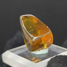 Load image into Gallery viewer, Chiapas Amber with Mosquito Inclusion. - Locale: Chiapas, Mexico. Weight: 2.19 grams. Dimensions: 18 x 19 x 11mm - The Crystal Connoisseurs
