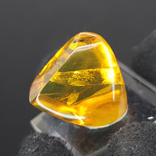 Load image into Gallery viewer, Chiapas Amber with Mosquito Inclusion. - Locale: Chiapas, Mexico. Weight: 2.19 grams. Dimensions: 18 x 19 x 11mm - The Crystal Connoisseurs

