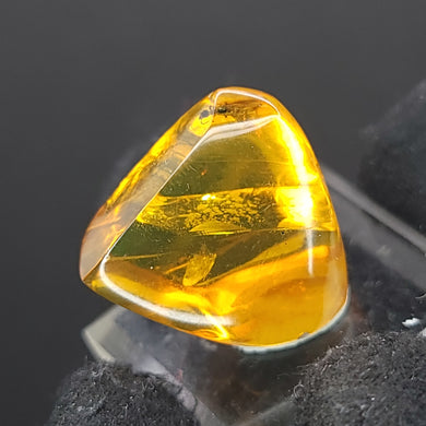 Chiapas Amber with Mosquito Inclusion. - Locale: Chiapas, Mexico. Weight: 2.19 grams. Dimensions: 18 x 19 x 11mm - The Crystal Connoisseurs