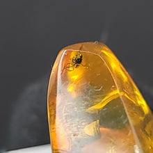 Load image into Gallery viewer, Chiapas Amber with Mosquito Inclusion. - Locale: Chiapas, Mexico. Weight: 2.19 grams. Dimensions: 18 x 19 x 11mm - The Crystal Connoisseurs
