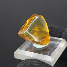 Load image into Gallery viewer, Chiapas Amber with Mosquito Inclusion. - Locale: Chiapas, Mexico. Weight: 2.19 grams. Dimensions: 18 x 19 x 11mm - The Crystal Connoisseurs
