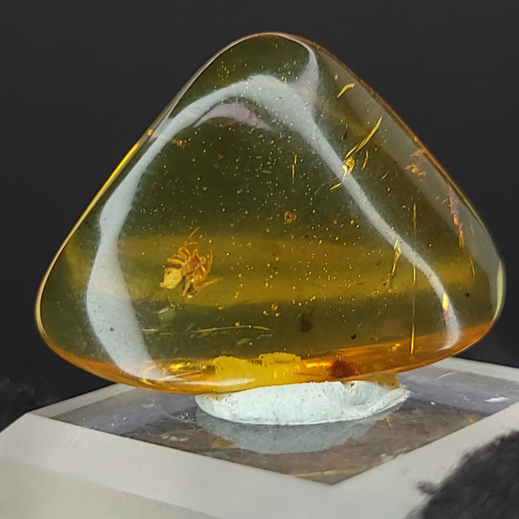 Chiapas Amber with Spider Inclusion. - Locale: Chiapas, Mexico. Weight: 2.17 grams. Dimensions: 18 x 26 x 8mm - The Crystal Connoisseurs