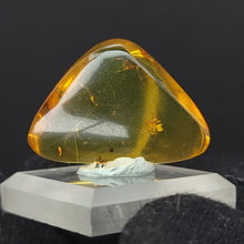 Load image into Gallery viewer, Chiapas Amber with Spider Inclusion. - Locale: Chiapas, Mexico. Weight: 2.17 grams. Dimensions: 18 x 26 x 8mm - The Crystal Connoisseurs
