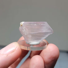 Load image into Gallery viewer, AAA Double Terminated Bi-Color Kunzite. 8.24g - The Crystal Connoisseurs
