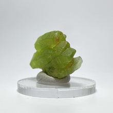 Load image into Gallery viewer, DT Peridot Specimen - The Crystal Connoisseurs

