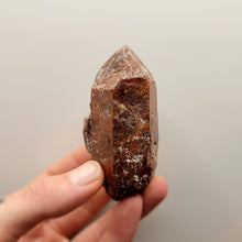 Load image into Gallery viewer, Quartz with Hematite and Marcasite - The Crystal Connoisseurs
