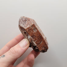 Load image into Gallery viewer, Quartz with Hematite and Marcasite - The Crystal Connoisseurs
