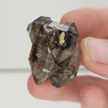 Load image into Gallery viewer, Double Terminated Smoky Quartz from Pakistan. 30g. - The Crystal Connoisseurs
