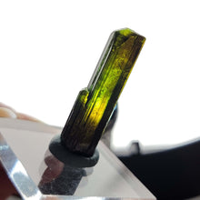 Load image into Gallery viewer, AAA Bi-color Epidote Specimen. 8.9g - The Crystal Connoisseurs
