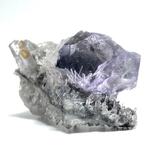 Load image into Gallery viewer, Purple Fluorite and Quartz - The Crystal Connoisseurs
