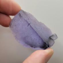 Load image into Gallery viewer, Illinois Fluorite. 50g - The Crystal Connoisseurs
