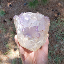 Load image into Gallery viewer, Large Illinois Fluorite. 3.5lb
