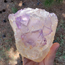 Load image into Gallery viewer, Large Illinois Fluorite. 3.5lb

