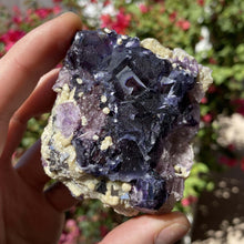 Load image into Gallery viewer, Ghost Eye Fluorite w/ Calcite &amp; Pyrite - The Crystal Connoisseurs
