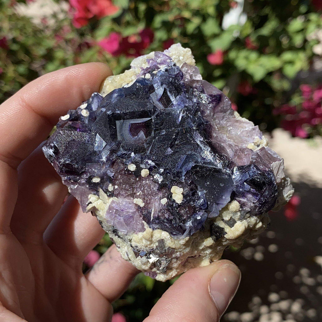 Ghost Eye Fluorite w/ Calcite & Pyrite - The Crystal Connoisseurs