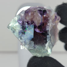 Load image into Gallery viewer, Ghost Eye Fluroite - The Crystal Connoisseurs
