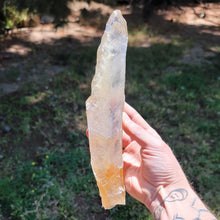 Load image into Gallery viewer, Golden Selenite with Phantoms. UV Reactive. 1.9LB - The Crystal Connoisseurs

