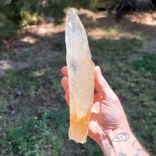 Load image into Gallery viewer, Golden Selenite with Phantoms. UV Reactive. 1.9LB - The Crystal Connoisseurs
