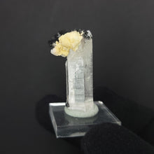 Load image into Gallery viewer, Beryl var. Goshenite with Schorl Tourmaline - The Crystal Connoisseurs
