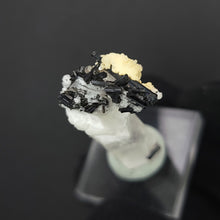 Load image into Gallery viewer, Beryl var. Goshenite with Schorl Tourmaline - The Crystal Connoisseurs
