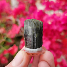 Load image into Gallery viewer, Green Catseye Tourmaline. 29.5 grams - The Crystal Connoisseurs
