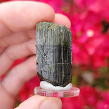 Load image into Gallery viewer, Green Catseye Tourmaline. 29.5 grams - The Crystal Connoisseurs
