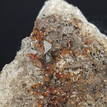 Load image into Gallery viewer, Hessonite Garnet and Smoky Quartz on Matrix. - The Crystal Connoisseurs
