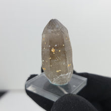 Load image into Gallery viewer, Hessonite Garnet on Smoky Quartz. 24g - The Crystal Connoisseurs
