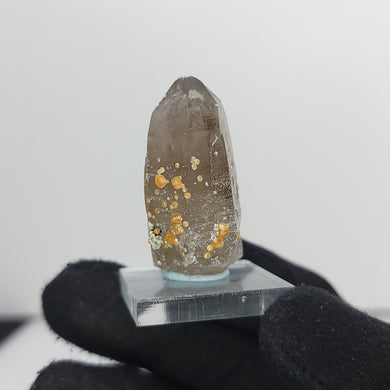 Hessonite Garnet on Smoky Quartz. 24g - The Crystal Connoisseurs