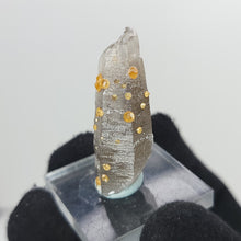 Load image into Gallery viewer, Hessonite Garnet on Smoky Quartz. 8g - The Crystal Connoisseurs
