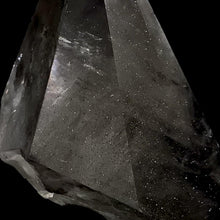 Load image into Gallery viewer, Linwood Calcite with Marcasite Inclusions - The Crystal Connoisseurs

