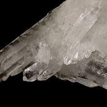 Load image into Gallery viewer, Brazilian Quartz with Chlorite Inclusions - The Crystal Connoisseurs
