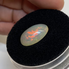 Load image into Gallery viewer, Ethiopian Opal - The Crystal Connoisseurs
