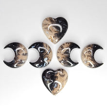 Load image into Gallery viewer, Petrified Palm Root Cabochons. Heart &amp; Moon
