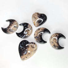 Load image into Gallery viewer, Petrified Palm Root Cabochons. Heart &amp; Moon
