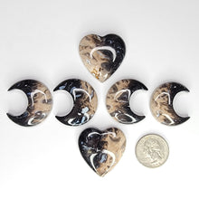 Load image into Gallery viewer, Petrified Palm Root Cabochons. Heart &amp; Moon
