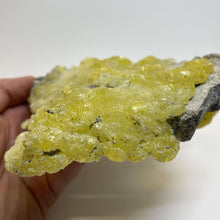 Load image into Gallery viewer, AAA Lemon Yellow Brucite, Cabinet Specimen. - The Crystal Connoisseurs
