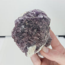 Load image into Gallery viewer, Large Mica var. Lepidolite. Brazil. - The Crystal Connoisseurs
